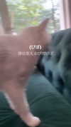 xxk1tty4nnaxx Altpins Profile Picture