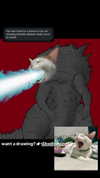 txadfrxg Altpins Profile Picture