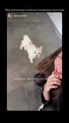 kkwwwv Altpins Profile Picture