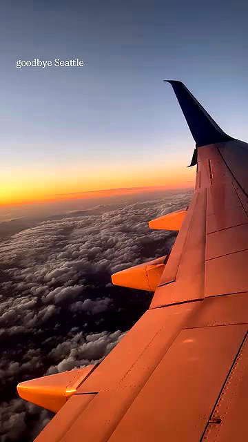 thelizzyporter archive video preview