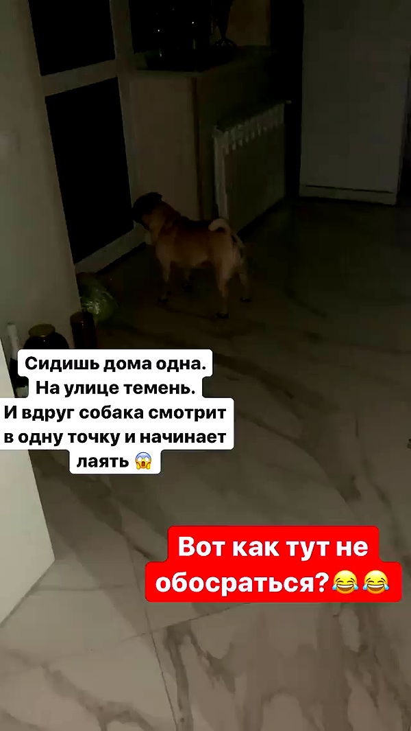 nyityam archive video preview