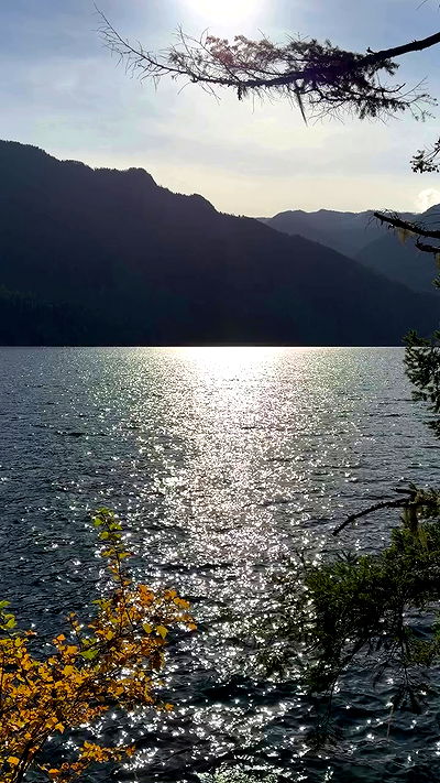 taylor.creeden taylor.creeden archive video