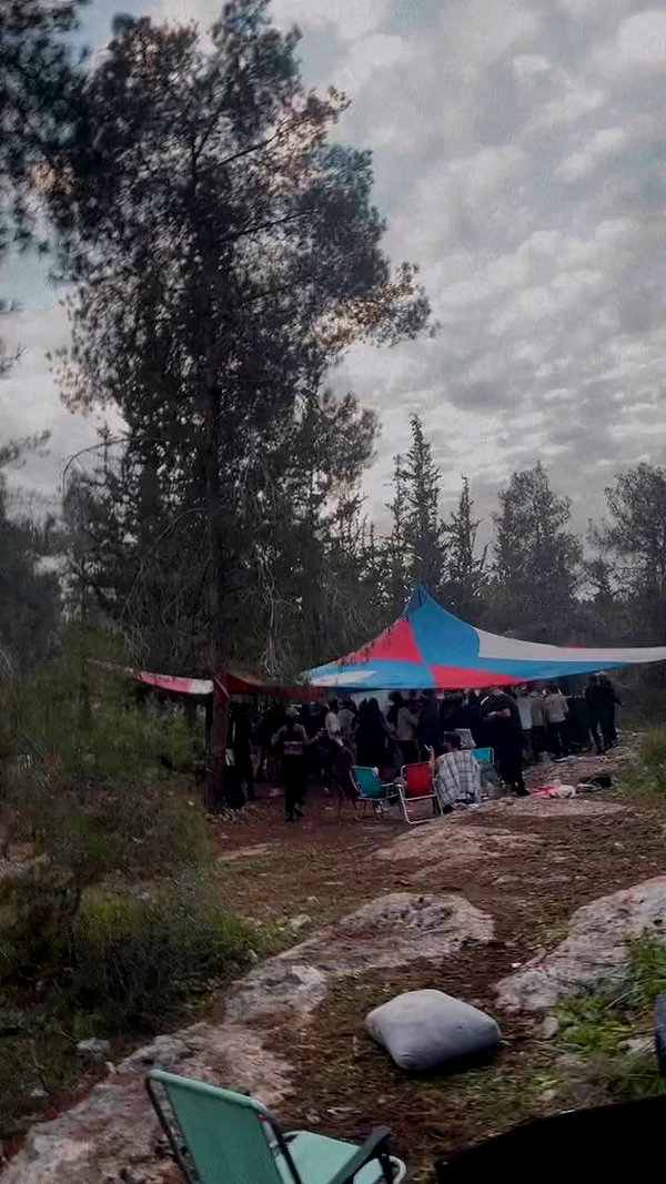 shaharo__._ archive video preview