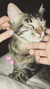 evasela__ Altpins Profile Picture
