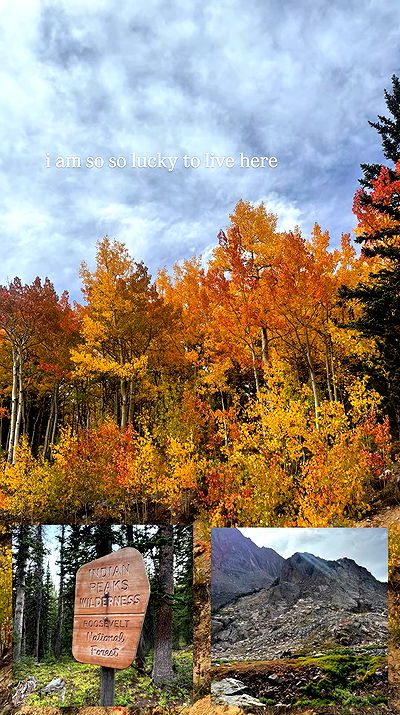 thelizzyporter thelizzyporter archive video