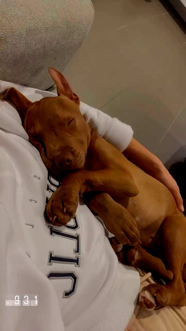 olivia.mathers archive video preview