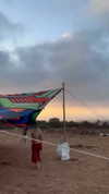 sh1rawein Altpins Profile Picture