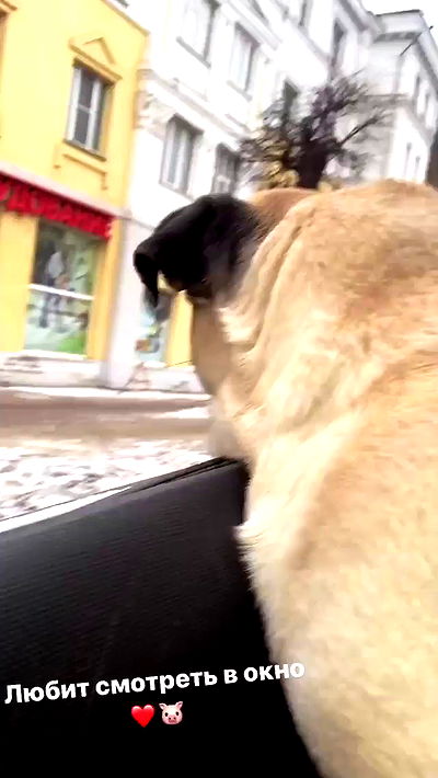 nyityam nyityam archive video