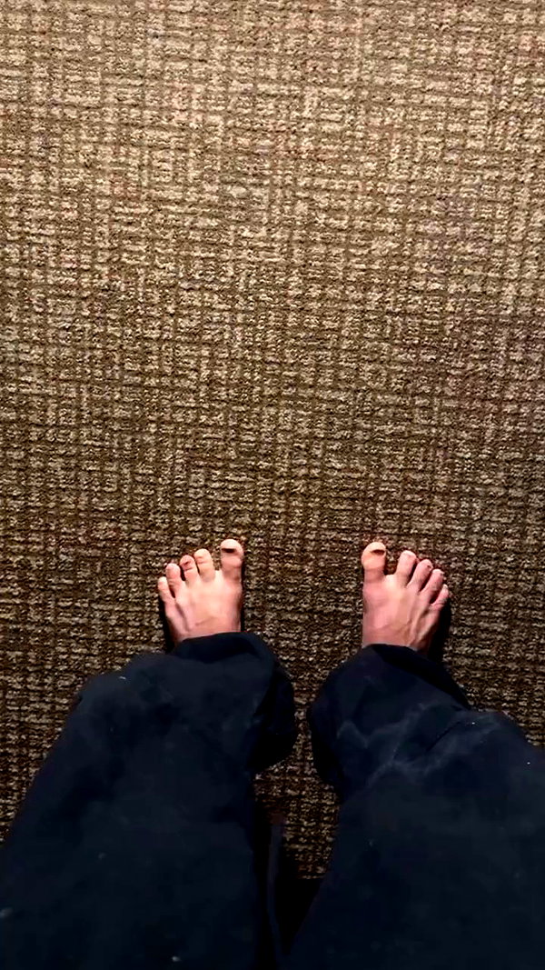 swholeanimal archive video preview