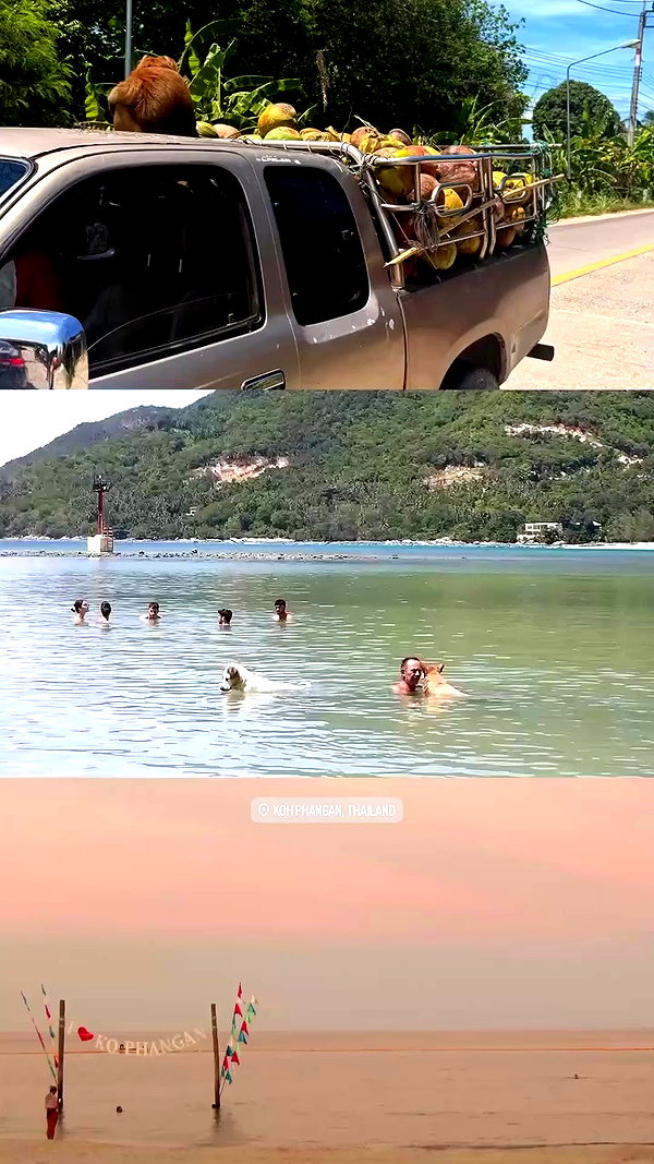 gayaedry_ archive video preview