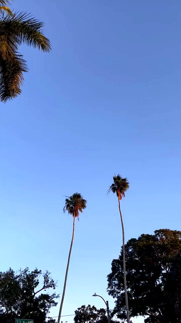 isabella.lauren archive video preview