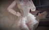 realxuenixue Altpins Profile Picture