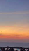 tirtza_cohen Altpins Profile Picture