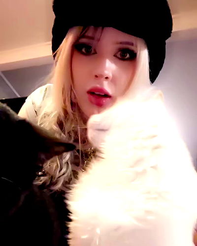 silkton silkton archive video