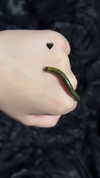 butter.on.a.poptart69 Altpins Profile Picture