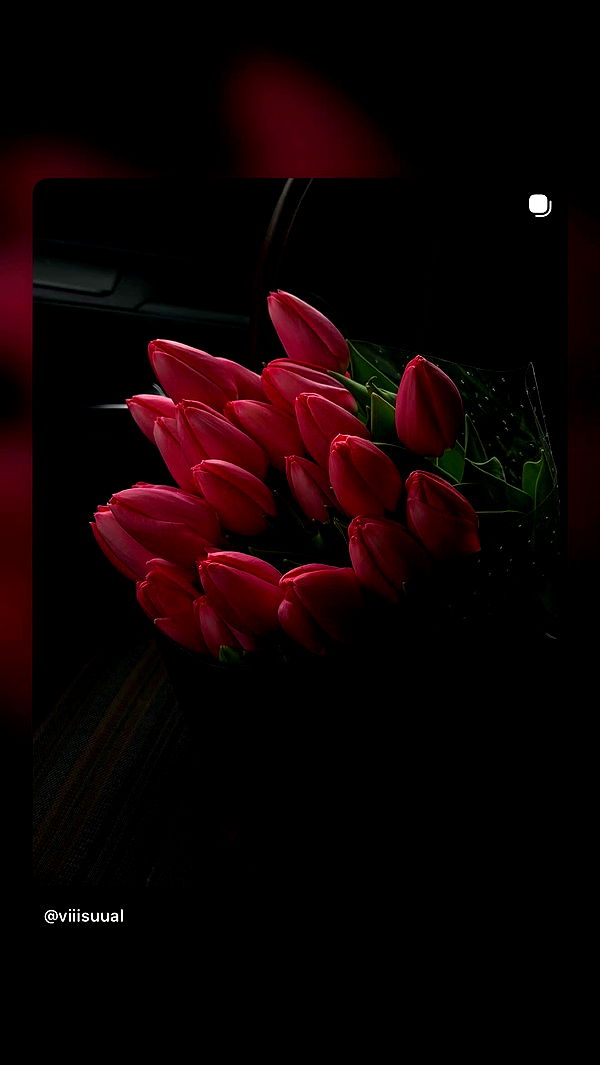 danaikontodiou archive video preview