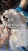 shunli__mei Altpins Profile Picture