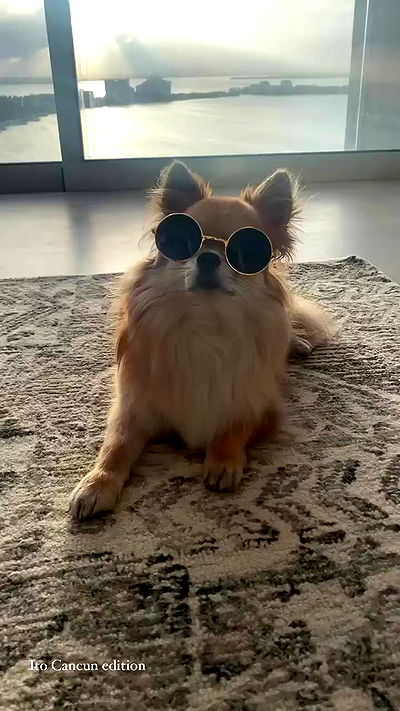 taylor.creeden taylor.creeden archive video