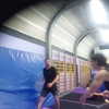 shayli_or Altpins Profile Picture