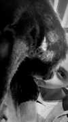 ronyida_ Altpins Profile Picture