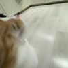 itsnokiiia Altpins Profile Picture