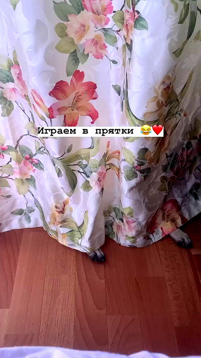 nyityam nyityam archive video