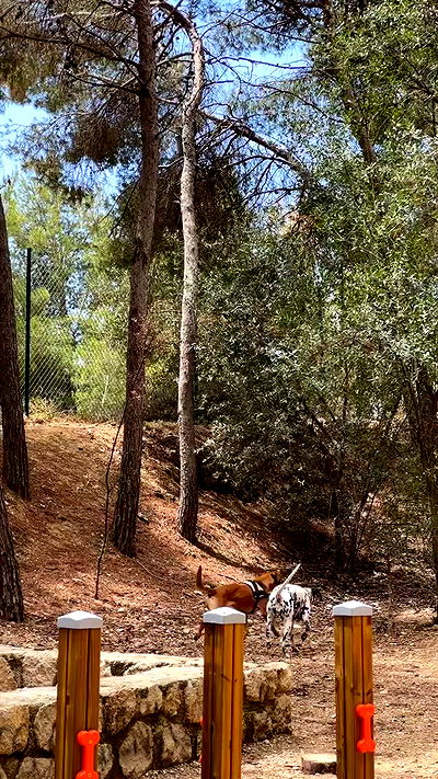 manjolamuriqi manjolamuriqi archive video