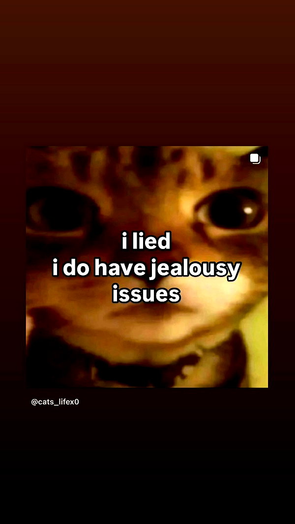 moodmaxi archive video preview