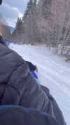 lishai_halevi Altpins Profile Picture