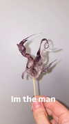 osher_yakir Altpins Profile Picture