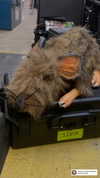 gisellelee8 Altpins Profile Picture