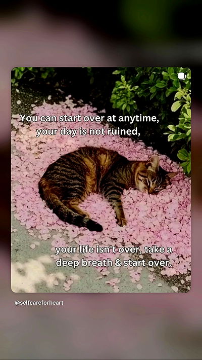 strawberryshanz strawberryshanz archive video