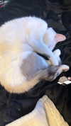 butter.on.a.poptart69 Altpins Profile Picture