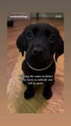 emily_new2 Altpins Profile Picture