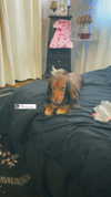 libby_reut Altpins Profile Picture