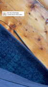 jahia_brown Altpins Profile Picture