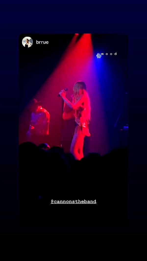 cannonstheband archive video preview