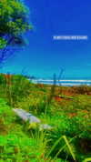 aleiisha.piixiie Altpins Profile Picture