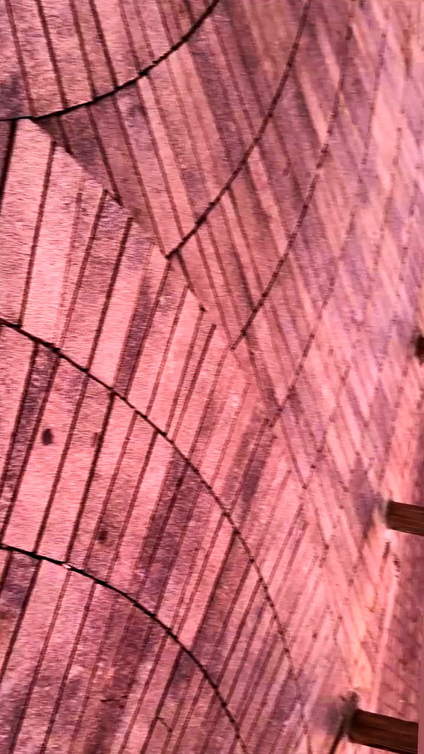 n3m4la_ archive video preview
