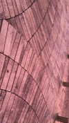 n3m4la_ Altpins Profile Picture