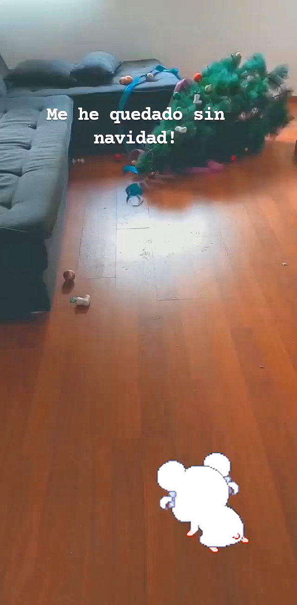 ruth_chavarri archive video preview