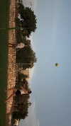emma.naor Altpins Profile Picture
