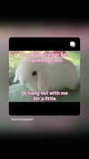 _ann.kim_ Altpins Profile Picture