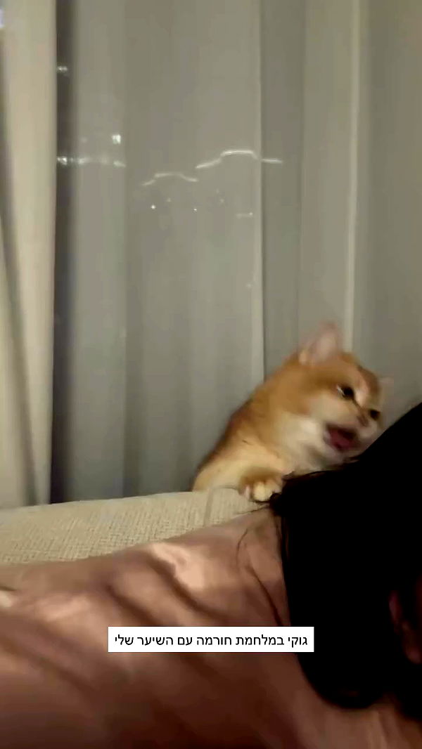 itsilanosh archive video preview