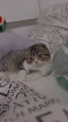 sonia_litvanchuk Altpins Profile Picture