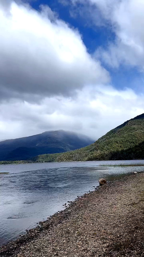 _aldibernardo archive video preview