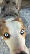 feelbetterinmysweater Altpins Profile Picture