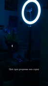 tiny.eviluv Altpins Profile Picture