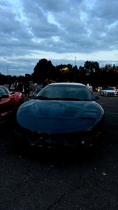 simp_for_cats_ simp_for_cats_ archive video