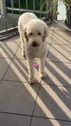 danamrts Altpins Profile Picture